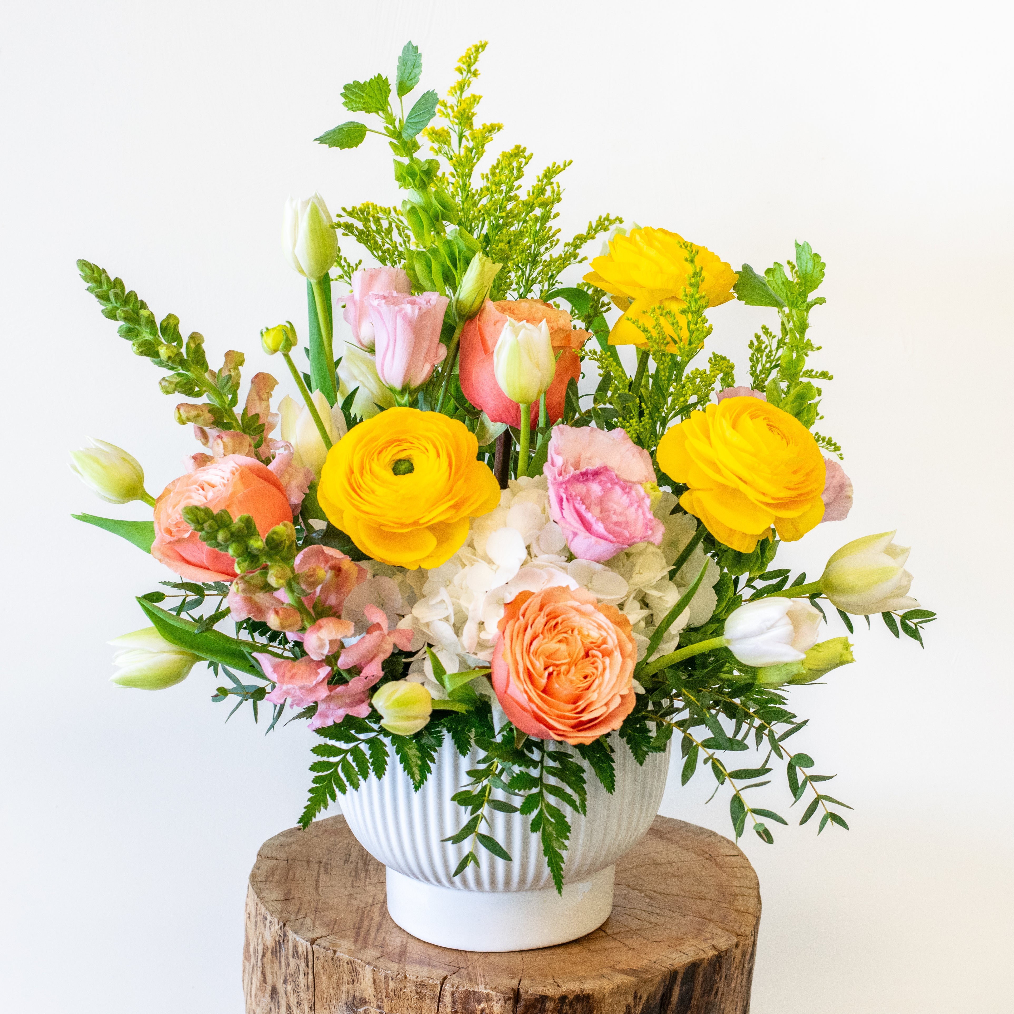 Spring Collection